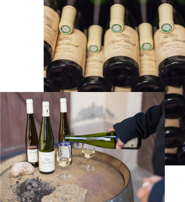 vin blanc d'alsace : gewurztraminer, grands crus, riesling, vendanges tardives, crémant à Colmar et Mittelwihr