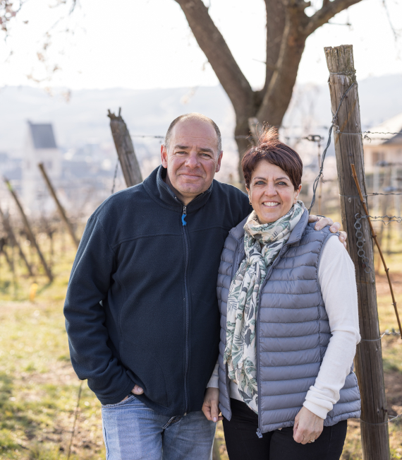 Vins rené Blanck - Vins d'Alsace : crémants, vins blancs et pinots noirs Mittelwihr (Colmar)